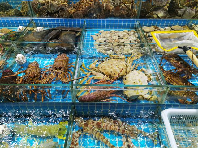 高端水產品價格探秘 為何一些水產售價如此昂貴？